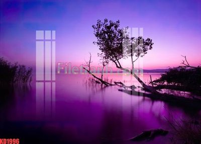 File gốc File gốc in tranh nền tường tổng hợp KD1996 (cho in UV) siêu nét