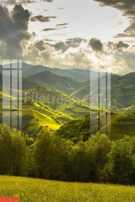 File gốc File gốc in tranh nền tường tổng hợp KD2194 (in lụa) tranh mã đáo