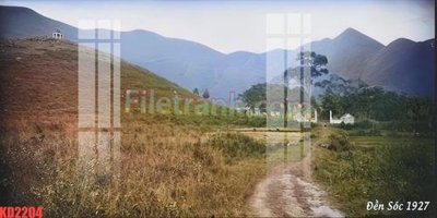 Cung cấp file tranh gốc File gốc in tranh nền tường tổng hợp KD2204 độc quyền