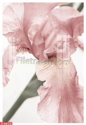 File tranh File gốc in tranh nền tường tổng hợp KD2305 (ảnh gốc) độc quyền