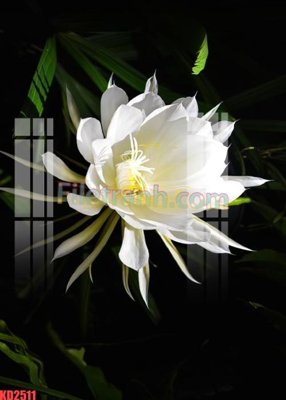 File tranh PSD File gốc in tranh nền tường tổng hợp KD2511 chất lượng cao