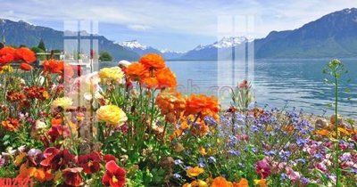 File PSD File gốc in tranh nền tường tổng hợp KD2521 (bản gốc) đã tách nền