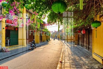 File tranh File gốc in tranh nền tường tổng hợp KD273 (gốc) in film