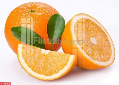 File gốc in ấn File gốc in tranh nền tường tổng hợp KD2790 (sẵn sàng tải về)