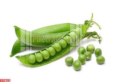 File in mica File gốc in tranh nền tường tổng hợp KD2791 (bản gốc) siêu trong