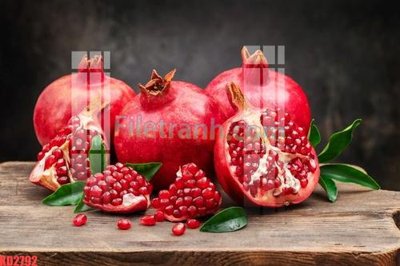 File gốc File gốc in tranh nền tường tổng hợp KD2792 (Filetranh.com) File gốc in tranh nền tường tổng hợp KD2792