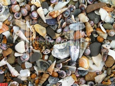 File in trần File gốc in tranh nền tường tổng hợp KD29 (file gốc) phong thủy