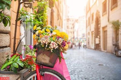 File tranh File gốc in tranh nền tường tổng hợp KD321 (gốc) in trên kính