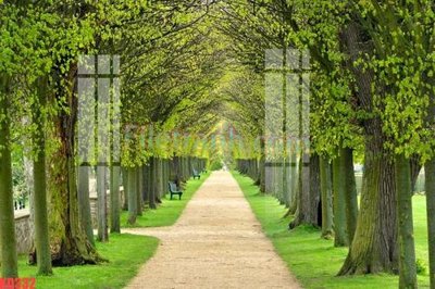 File ảnh File gốc in tranh nền tường tổng hợp KD332 (gốc) in poster