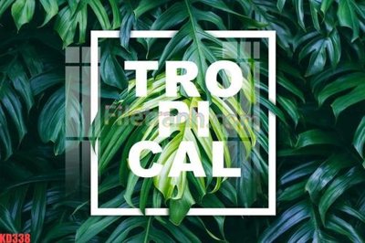 File ảnh gốc File gốc in tranh nền tường tổng hợp KD338 không vỡ nét