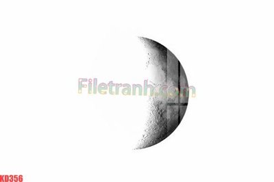 File tranh gốc in trần nhà File gốc in tranh nền tường tổng hợp KD356 3D