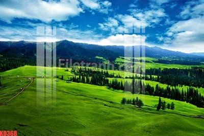 Tải file gốc File gốc in tranh nền tường tổng hợp KD368 (in tráng gương) cao cấpFile gốc File gốc in tranh nền tường tổng hợp KD368 (in ấn) phiên bản độc quyền