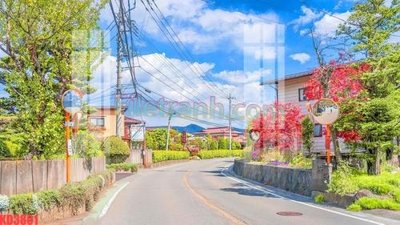 File tranh gốc File gốc in tranh nền tường tổng hợp KD3801 (bản đẹp) độc quyền