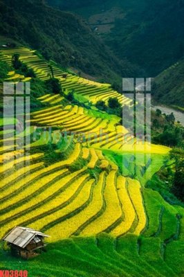 Download file gốc File gốc in tranh nền tường tổng hợp KD3840 (độ nét cao)