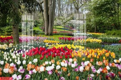 File PSD File gốc in tranh nền tường tổng hợp KD3853 (gốc) cho in quảng cáo