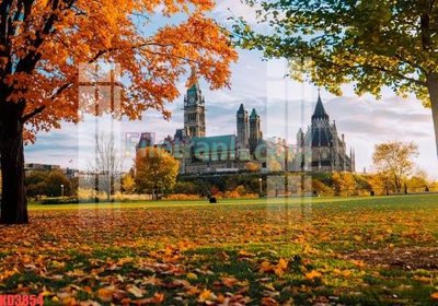 File tranh File gốc in tranh nền tường tổng hợp KD3854 (ảnh gốc) độ nét vượt trội