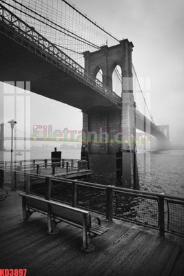 File tranh File gốc in tranh nền tường tổng hợp KD3897 (gốc) chủ đề động vật