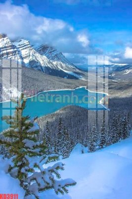 File tranh File gốc in tranh nền tường tổng hợp KD3911 (ảnh gốc) in trần xuyên sáng