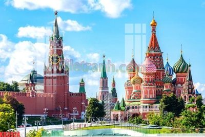 File in mica File gốc in tranh nền tường tổng hợp KD3924 (bản gốc) siêu trong