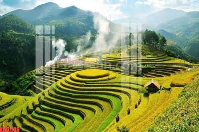 Download file gốc File gốc in tranh nền tường tổng hợp KD3946 (dùng cho in ấn)