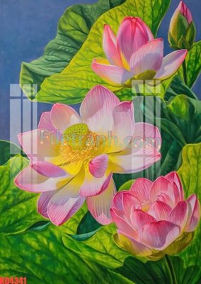 File PSD File gốc in tranh nền tường tổng hợp KD4341 (bản gốc) đã tách nền