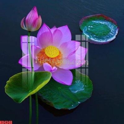 File gốc File gốc in tranh nền tường tổng hợp KD4348 (thiết kế) độc quyền