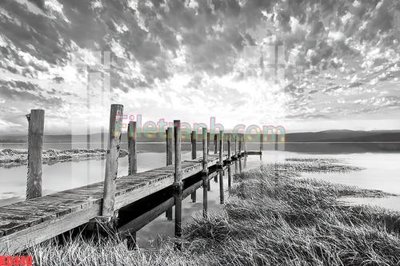 Tải file tranh File gốc in tranh nền tường tổng hợp KD440 (ảnh gốc) ngay