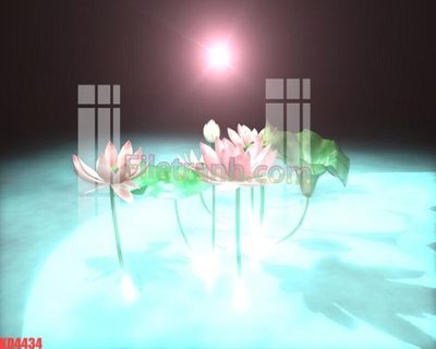 File tranh File gốc in tranh nền tường tổng hợp KD4434 (ảnh gốc) in trần nhà