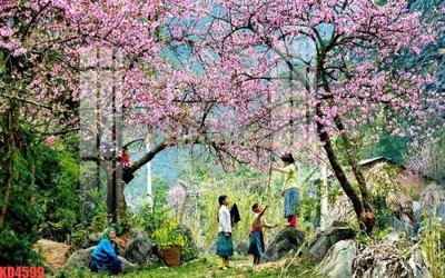 File in ấn chuyên nghiệp File gốc in tranh nền tường tổng hợp KD4599 (file gốc)