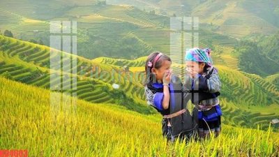 Tải file gốc File gốc in tranh nền tường tổng hợp KD4603 (bản PSD) còn layer