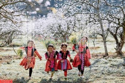 File gốc File gốc in tranh nền tường tổng hợp KD4889 (in ấn) màu sắc trung thực