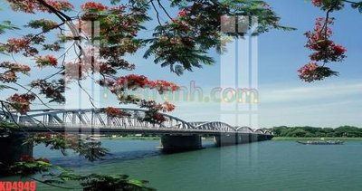 File gốc File gốc in tranh nền tường tổng hợp KD4949 (cho in ấn) từ Filetranh.com