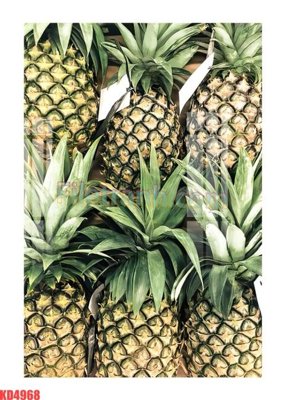 File in trần File gốc in tranh nền tường tổng hợp KD4968 (file gốc) chủ đề vũ trụ