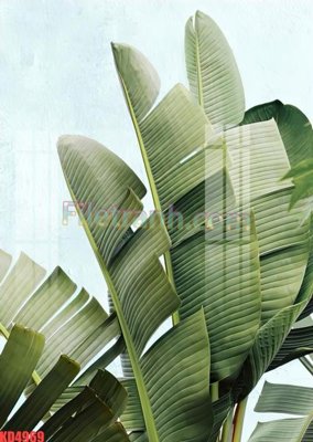 File gốc File gốc in tranh nền tường tổng hợp KD4969 (cho in UV) siêu nét