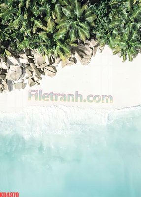 File tranh File gốc in tranh nền tường tổng hợp KD4970 (ảnh gốc) chi tiết rõ ràng