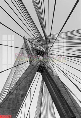 File tranh File gốc in tranh nền tường tổng hợp KD5577 (ảnh gốc) sắc nét hoàn hảo