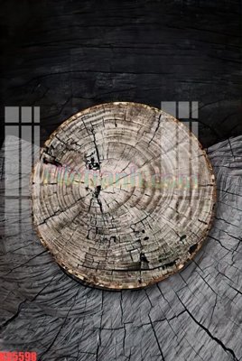 File gốc File gốc in tranh nền tường tổng hợp KD5598 (in lụa) trang trí tường