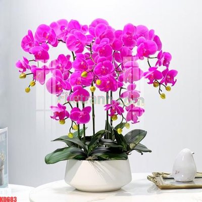 File tranh File gốc in tranh nền tường tổng hợp KD683 (gốc) in trên kính