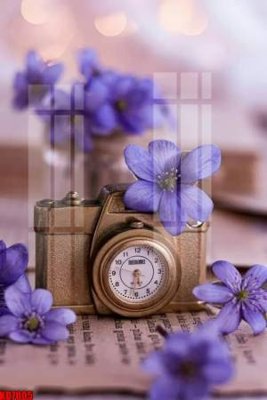 File gốc File tranh in décor tranh treo tường tổng hợp KD7005 (in tráng gương) hiện đại