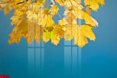 Chi tiết file ảnh File tranh in décor tranh treo tường tổng hợp KD7013 sắc nét