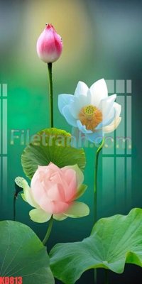 Download file gốc File gốc in tranh nền tường tổng hợp KD813 (in lụa) tranh 3D