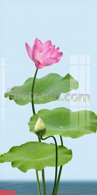 Tải file File gốc in tranh nền tường tổng hợp KD814 (ảnh gốc) in tranh kính