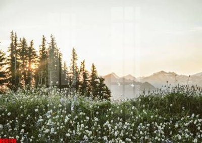 Tải file File tranh in décor tranh treo tường tổng hợp KD8146 (gốc) làm file quảng cáo