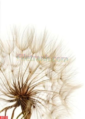 File gốc File gốc in tranh nền tường tổng hợp KD88 (in 3D) cho trang trí