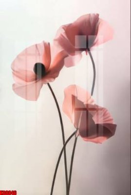 File in trần File tranh in décor tranh treo tường tổng hợp KD8846 (bản gốc) hoa văn