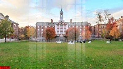 File tranh File tranh in décor tranh treo tường tổng hợp KD8937 (gốc) in trên kính