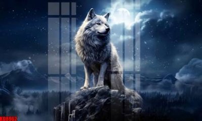 File gốc File tranh in décor tranh treo tường tổng hợp KD8962 (cho in ấn) độc quyền