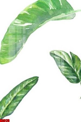 File tranh File tranh in décor tranh treo tường tổng hợp KD9176 (gốc) in trên kính