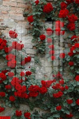 File gốc File tranh in décor tranh treo tường tổng hợp KD9950 (in tráng gương) ốp tường