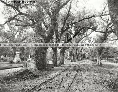 File in ấn Last Stop_ 1901 (bản gốc) cao cấp